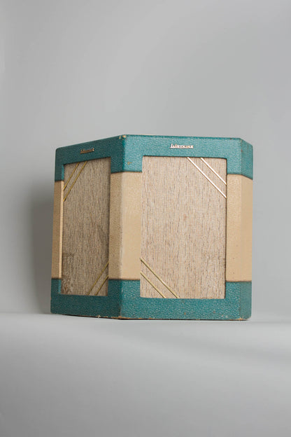 Watkins Dominator Tube Amplifier (1963)