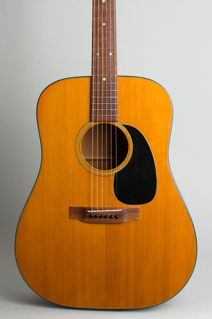 C. F. Martin D-18 Flat Top Acoustic Guitar (1972)