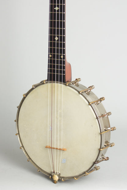 S. S. Stewart Lady Stewart #2 5 String Banjo (1899)
