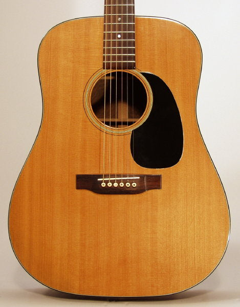 C. F. Martin D-21 Flat Top Acoustic Guitar (1969)