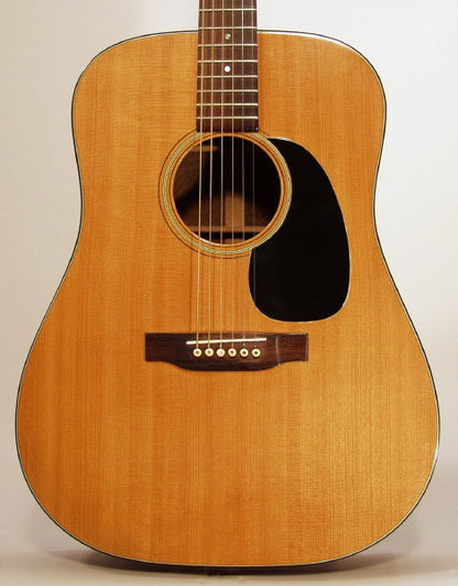 C. F. Martin D-21 Flat Top Acoustic Guitar (1969)
