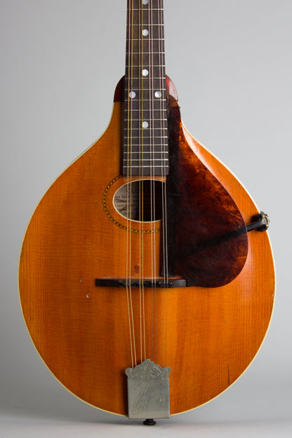 Gibson Style A- Carved Top Mandolin (1914)