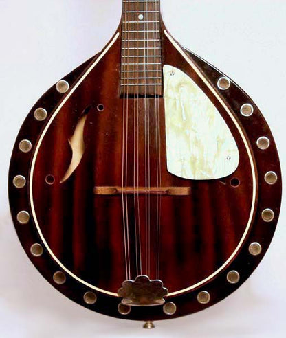 Blue Comet Arch Top Mandolin (1930's)
