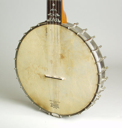 Luscomb composite with Jim DeCava Neck 5 String Banjo (1895)