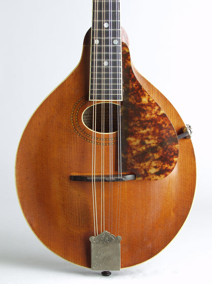 Gibson Style A-1 Carved Top Mandolin (1914)