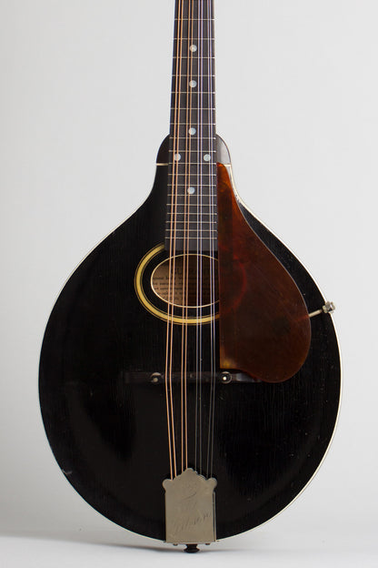 Gibson Style A Snakehead Carved Top Mandolin (1927)