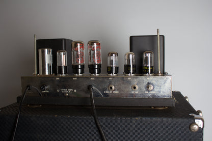 Ampeg B-15-N Tube Bass Amplifier (1966)
