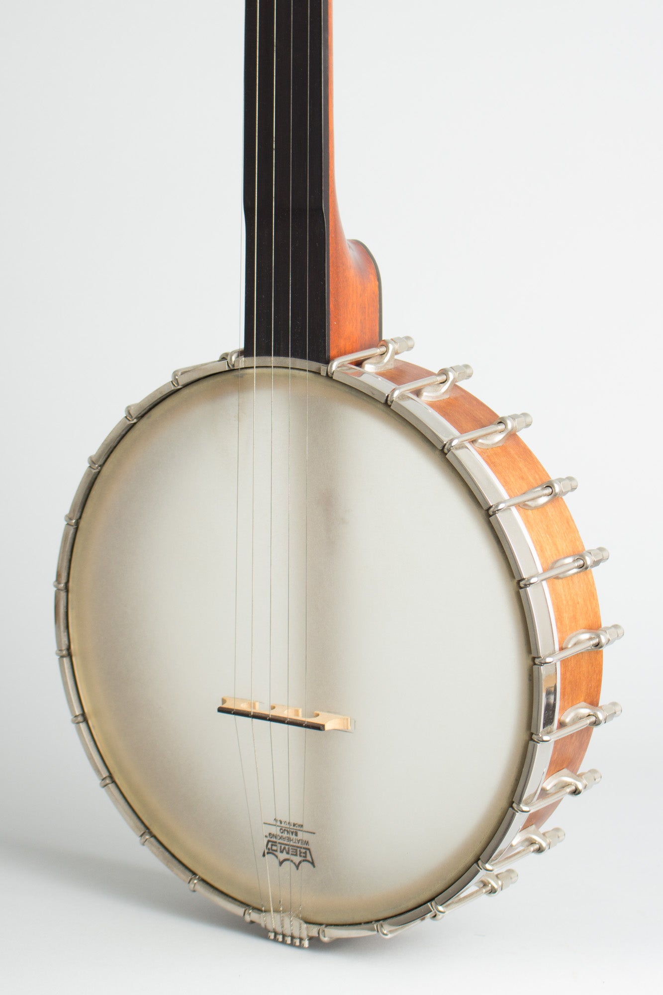 Bart Reiter Standard Fretless 5 String Banjo (2000)