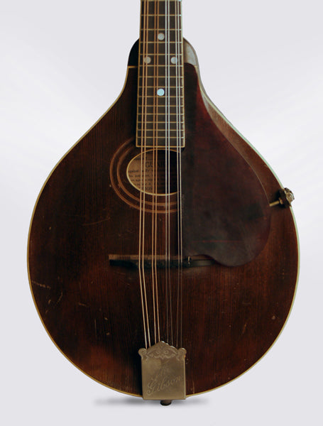 Gibson A-2 Carved Top Mandolin (1920)