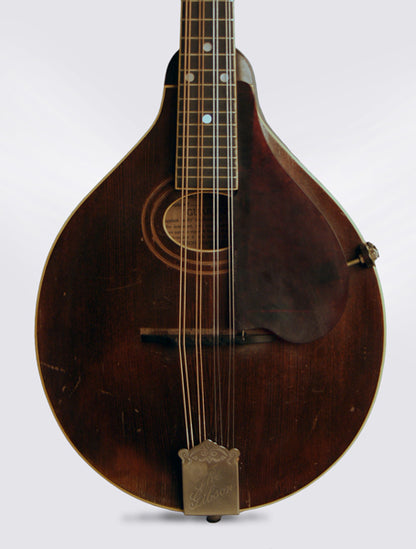 Gibson A-2 Carved Top Mandolin (1920)