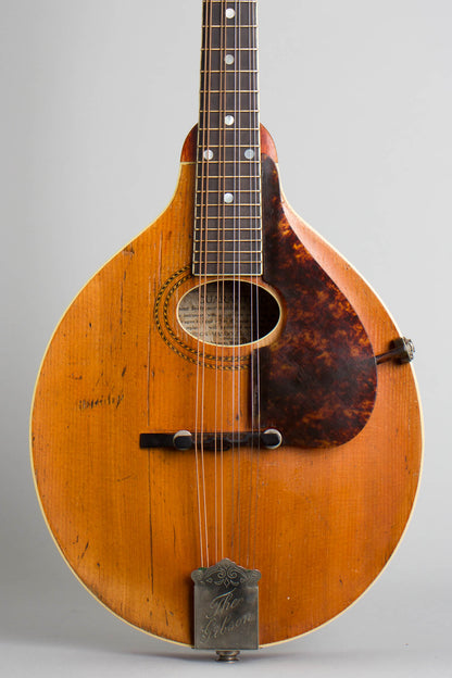 Gibson A-3 Carved Top Mandolin (1914)