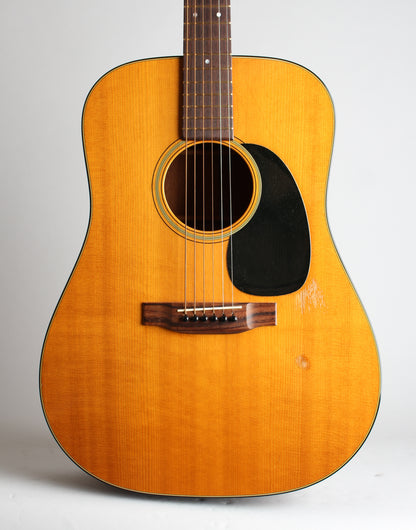 C. F. Martin D-18 Flat Top Acoustic Guitar (1977)