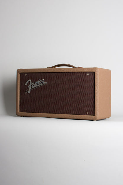 Fender Tube Reverb Unit Effect (1961)