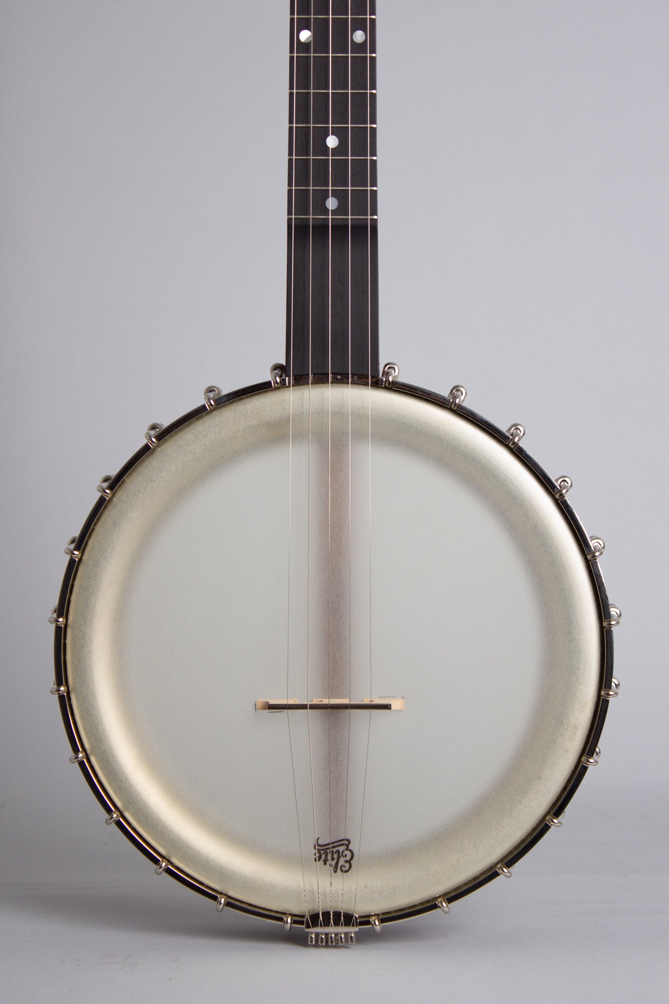 Bart Reiter Dobaphone 5 String Banjo (2020)