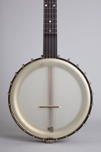 Bart Reiter Dobaphone 5 String Banjo (2020)