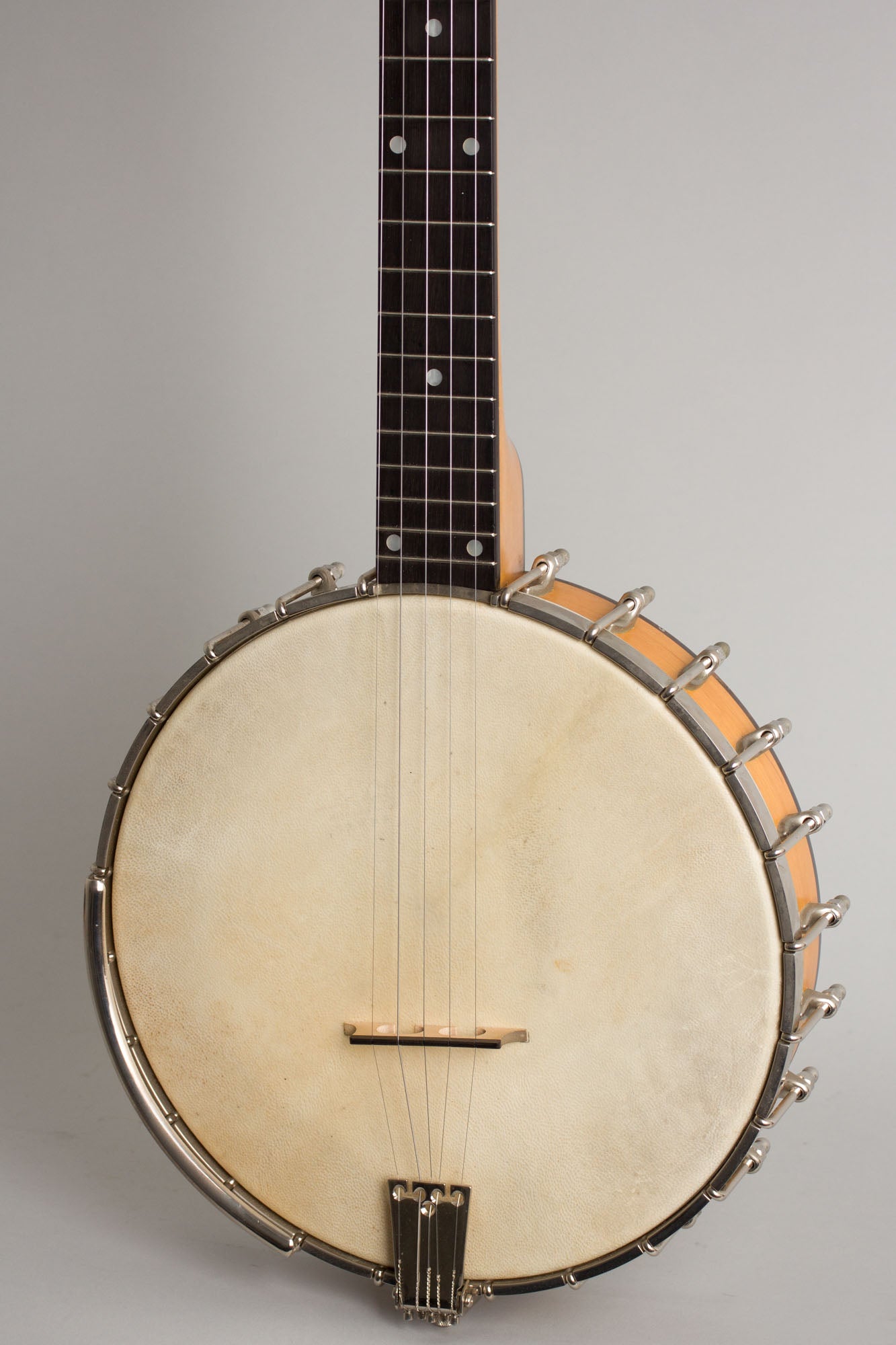 Bart Reiter Professional 5 String Banjo