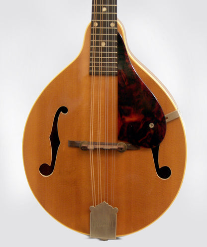 Gibson A-40N Carved Top Mandolin (1962)