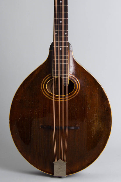 Gibson K-1 Carved Top Mandocello (1921)