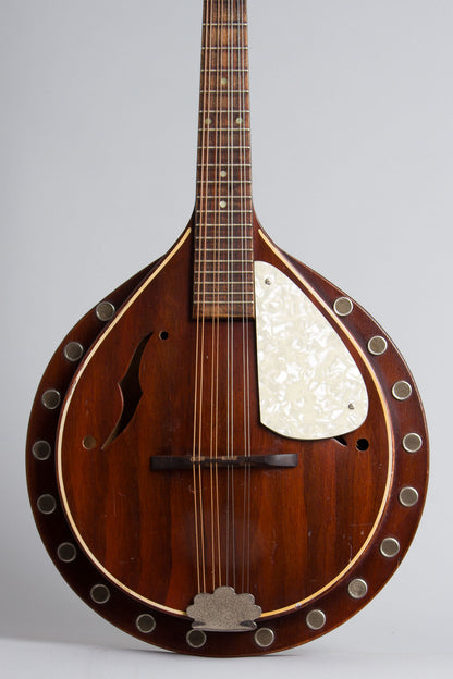 Regal Beltone Arch Top Mandolin (1940s)