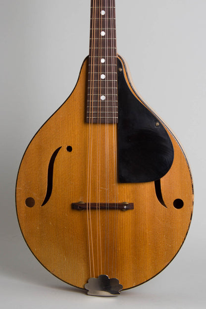 Stradolin Model 421 Arch Top Mandolin (1940's)