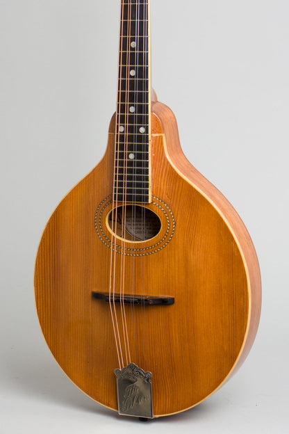 Gibson Style A-1 Carved Top Mandolin (1913)