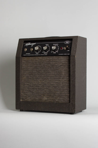 Kalamazoo Model Two Tube Amplifier (1966)