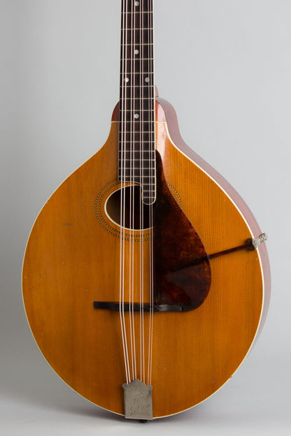 Gibson K-1 Carved Top Mandocello (1915)