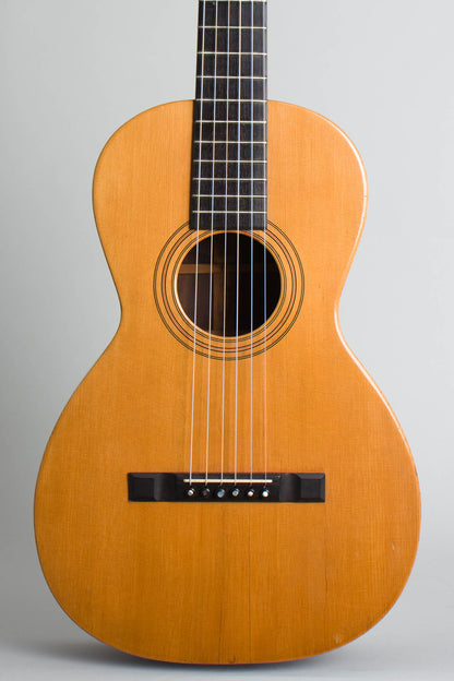 Washburn Style 101 Flat Top Acoustic Guitar (1888)