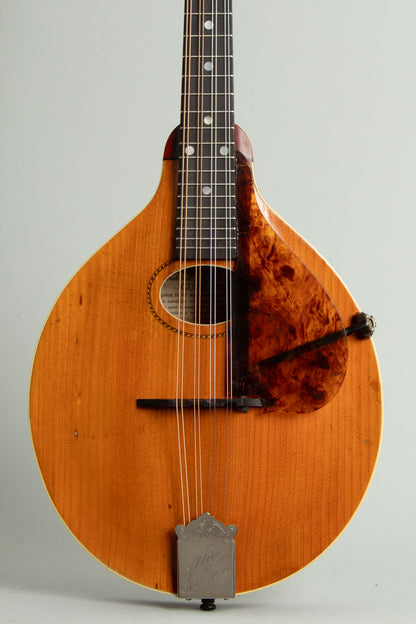 Gibson Style A- Carved Top Mandolin (1913)