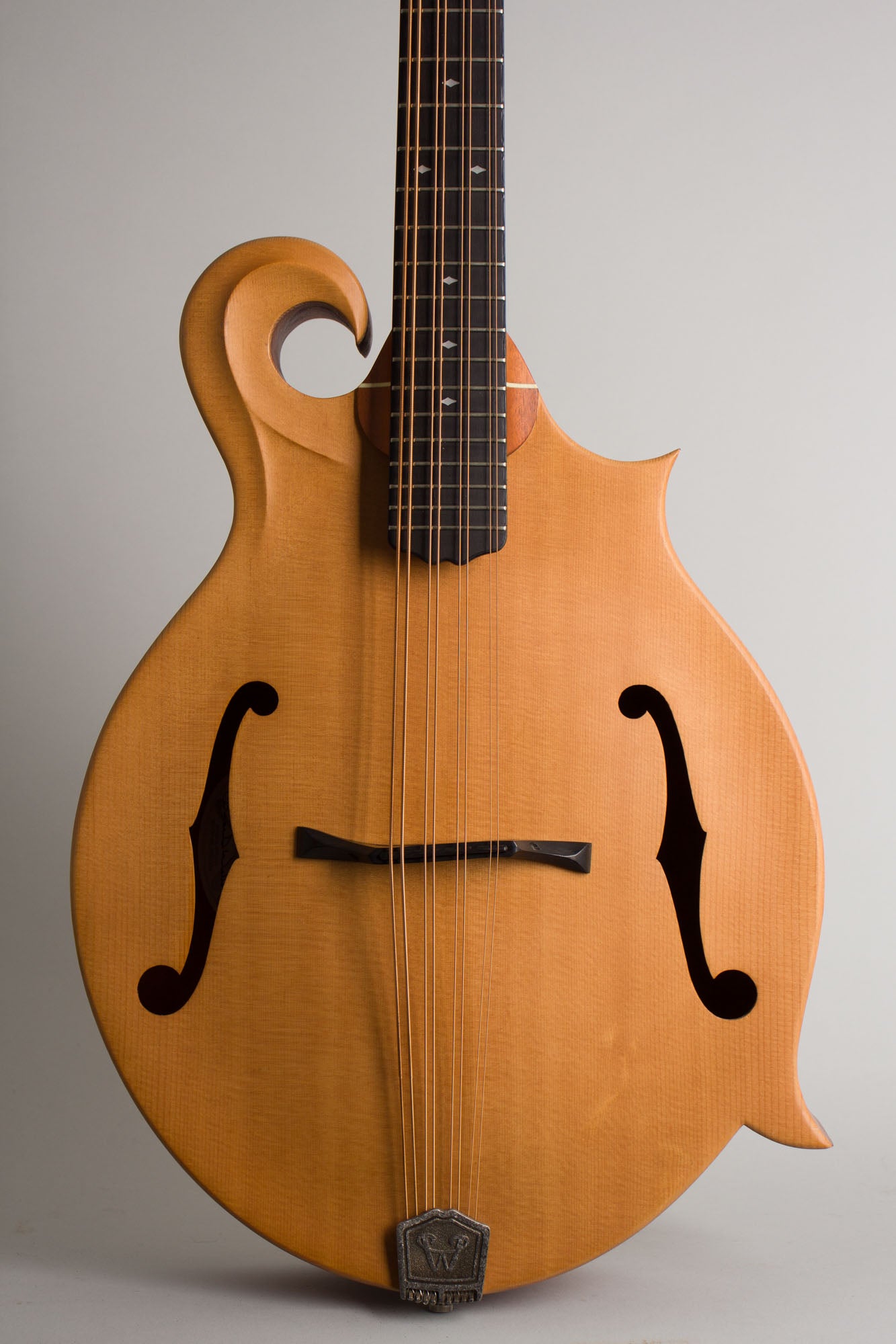Weber Gallatin Carved Top Mandocello (2003)