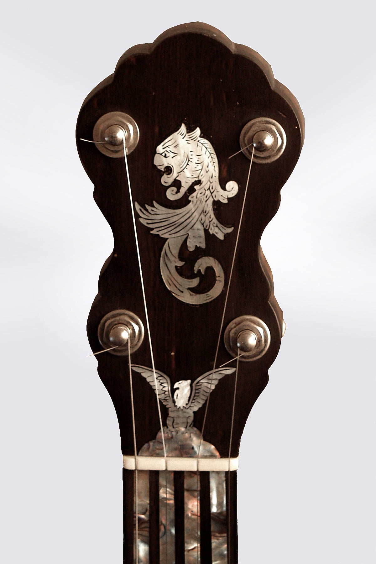 Mike Ramsey 5 String Banjo