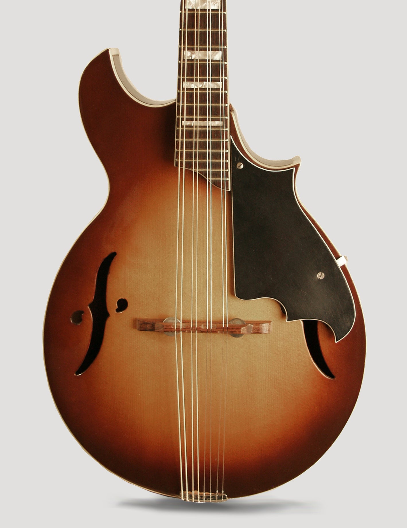 Harmony H8025 Arch Top Mandolin (1972)