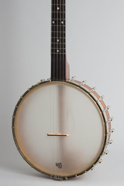 Bart Reiter Round Peak 5 String Banjo (2013)