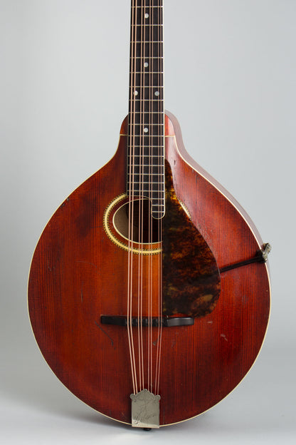 Gibson K-2 Carved Top Mandocello (1914)