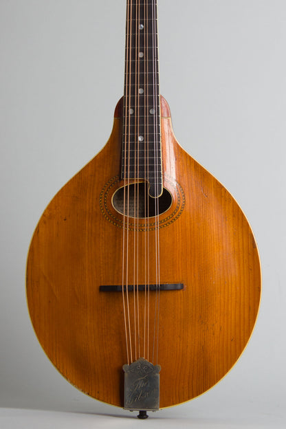 Gibson Style H-1 Carved Top Mandola (1913)