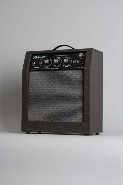 Kalamazoo Model Two Small Combo Tube Amplifier (1966)