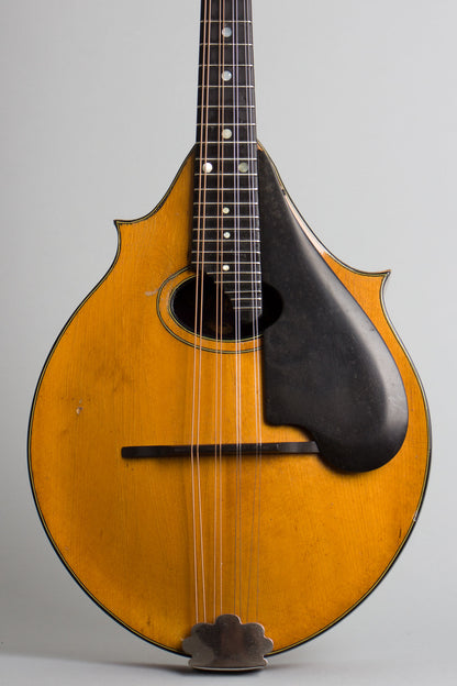 Washburn Model 5283 Deluxe Carved Top Mandolin (1930)