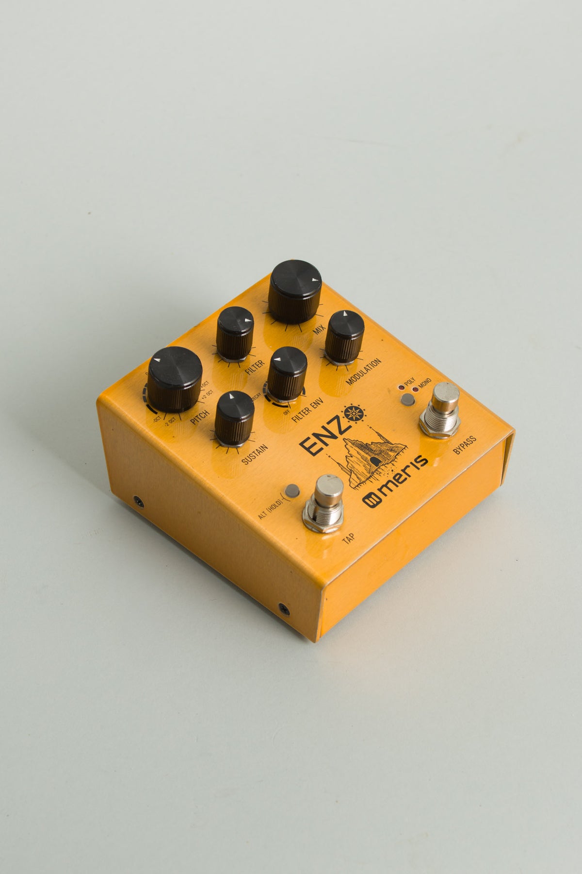 Meris Enzo Synth Effect (2020s)