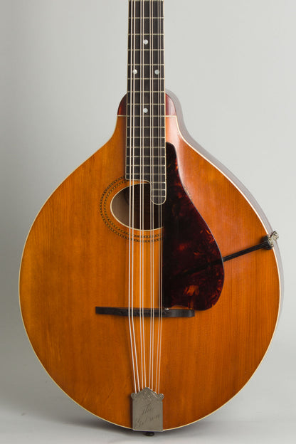 Gibson K-1 Carved Top Mandocello (1914)