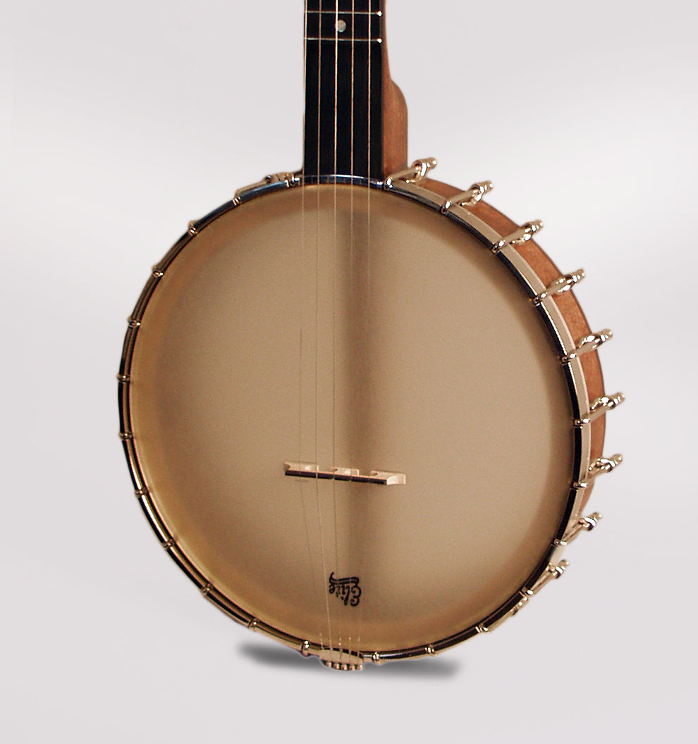 Bart Reiter Standard 5 String Banjo (2012)