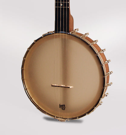 Bart Reiter Standard 5 String Banjo (2012)