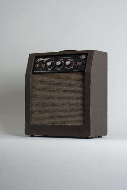 Kalamazoo Model Two Small Combo Tube Amplifier (1966)
