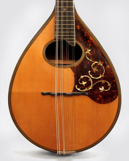 Regal Harwood Flat Back, Bent Top Mandolin (1927)