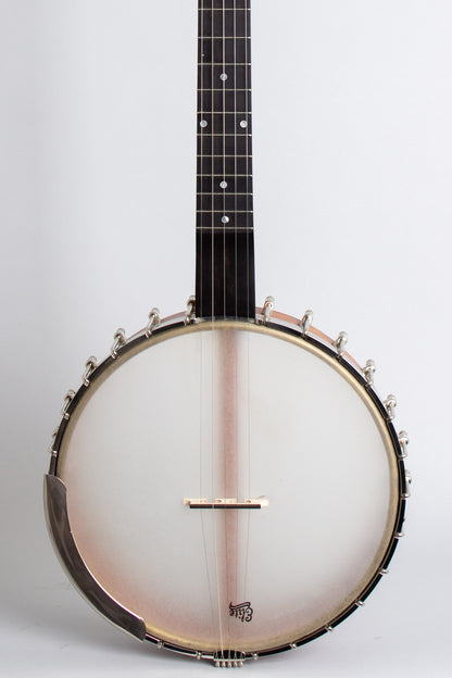 Mike Ramsey Special 5 String Banjo (2013)