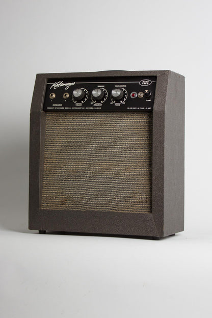 Kalamazoo Model Two Tube Amplifier (1966)