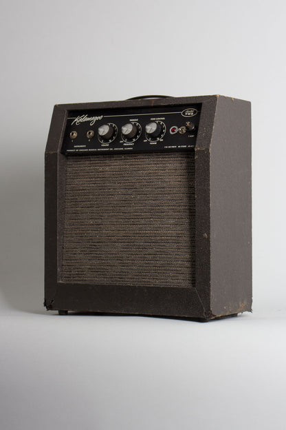Kalamazoo Model Two Tube Amplifier (1967)