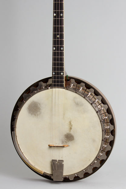 Vegaphone Professional Tenor Banjo (1927)