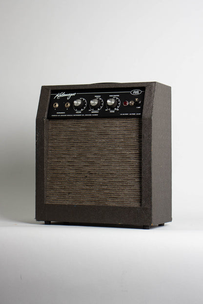 Kalamazoo Model Two Tube Amplifier (1966)