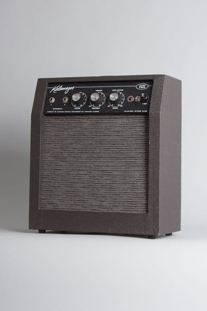 Kalamazoo Model Two Tube Amplifier (1966)