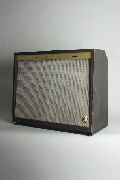 Magnatone Da Vinci D-60 Custom previously owned by Steely Dan's Walter Becker Tube Amplifier (1965)